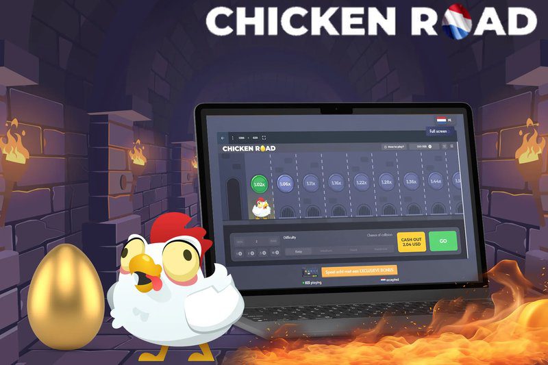 Chicken road, chicken road nederland
