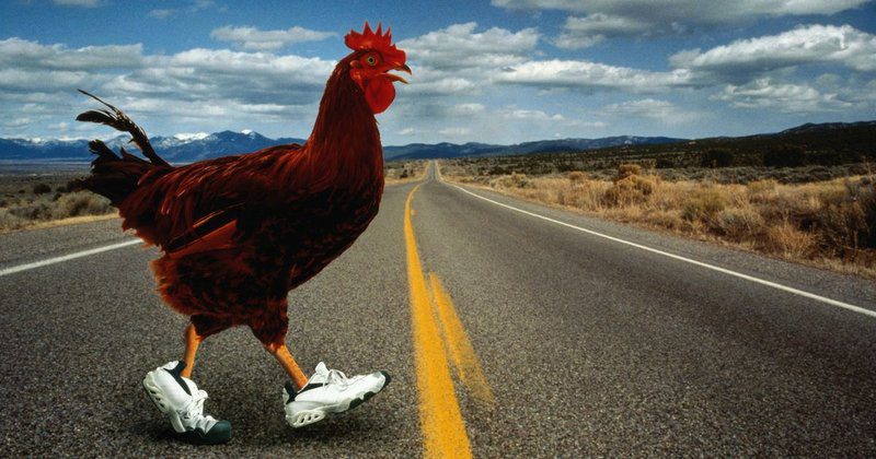 Learn about chicken road oficial